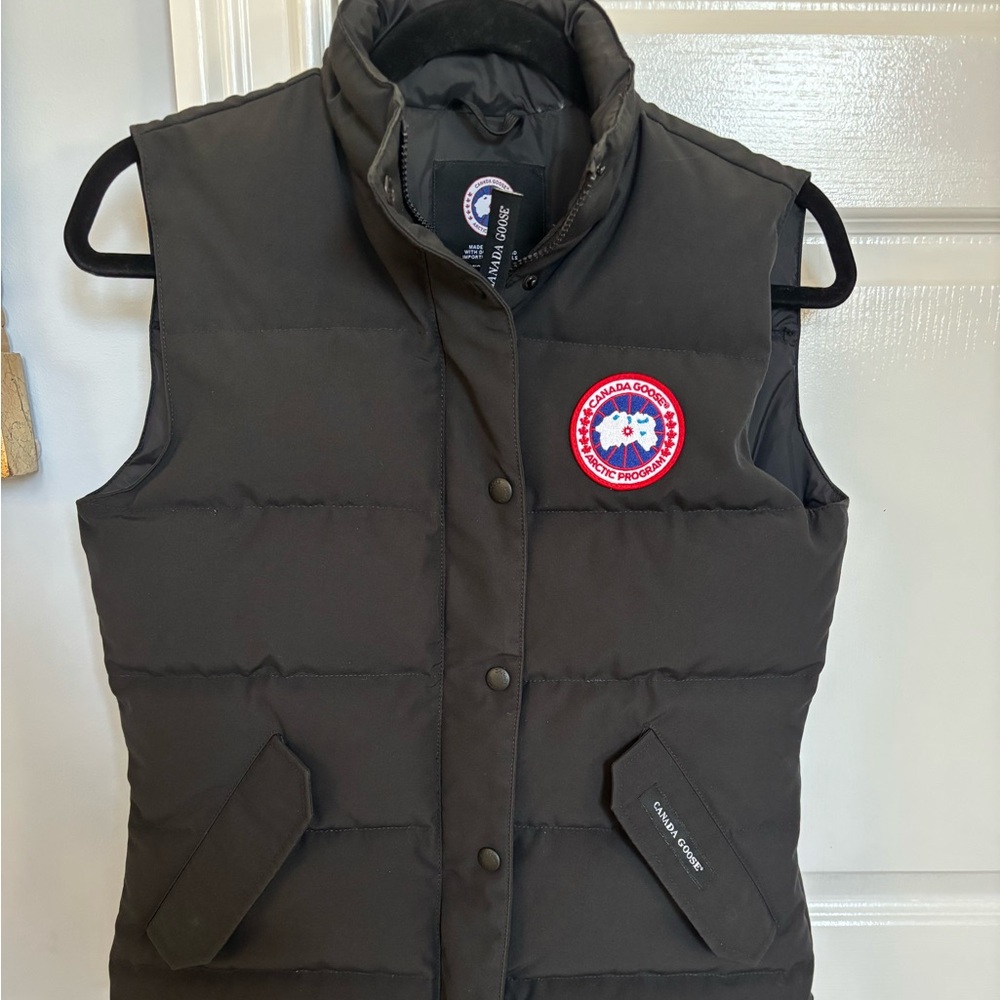 Canada goose